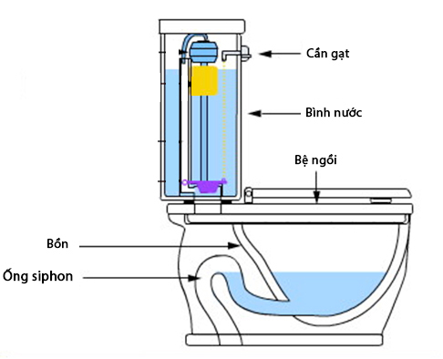 lượng nước ở siphon